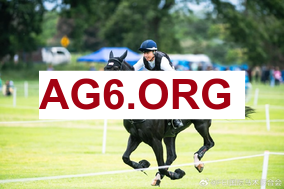 意甲第27轮乌迪内斯vs佛罗伦萨全场比赛录像回放2026年3月3日